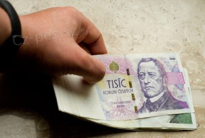 NAB�DKA RYCHL� P�J�KY HNED