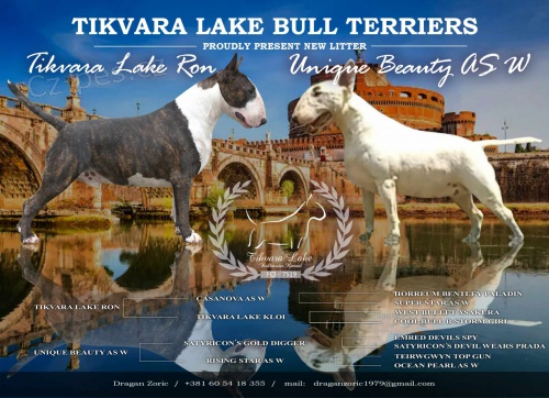 Bulteri�r �t��ata