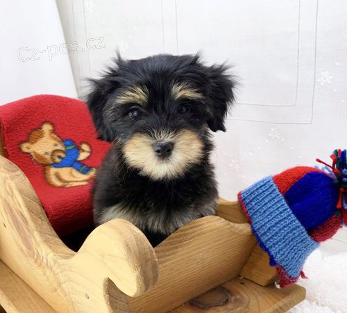 Prod�m �t��ata havamalt mini.