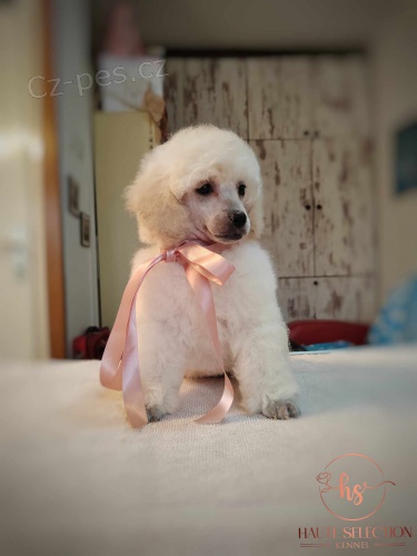 Toy b�l� pudl �t�n�