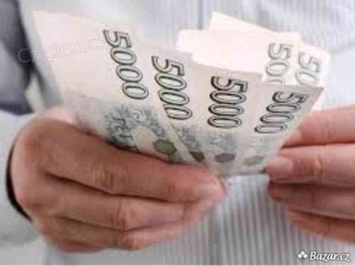 Rychl� nab�dka za m�n� ne� 24 hodin �en�m pod MD