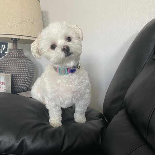 Prod�m �t��ata havamalt mini.