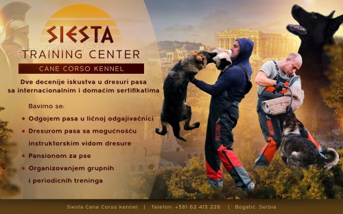 St�edisko pro v�cvik ps�