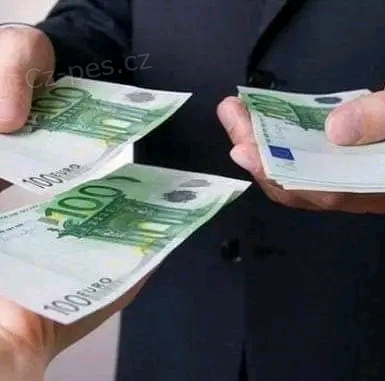 Nab�z�m p�j�ky v�n�m z�jemc�m