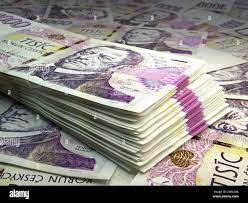 Okam�it� �v�rov� p�j�ky a financov�n�