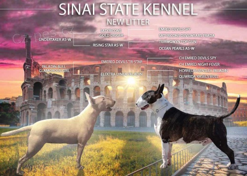 Bulteri�r �t��ata na prodej