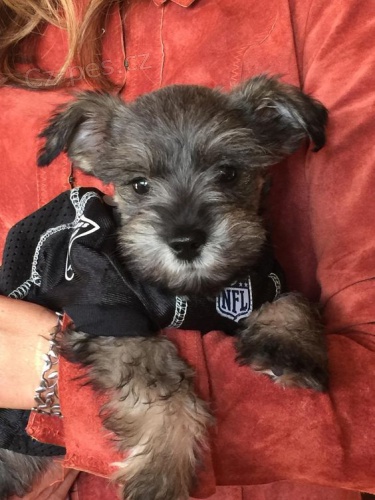 �t��ata mal�ch kn�ra��