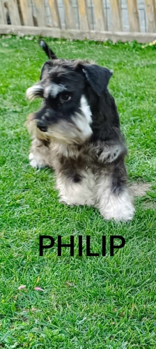 Mal� kn�ra� �t��ata