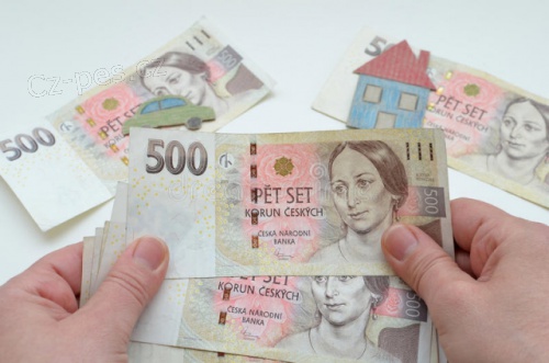  Pot�ebujete p�j�ku? Urychlen� kontaktujte tohoto v��itele.