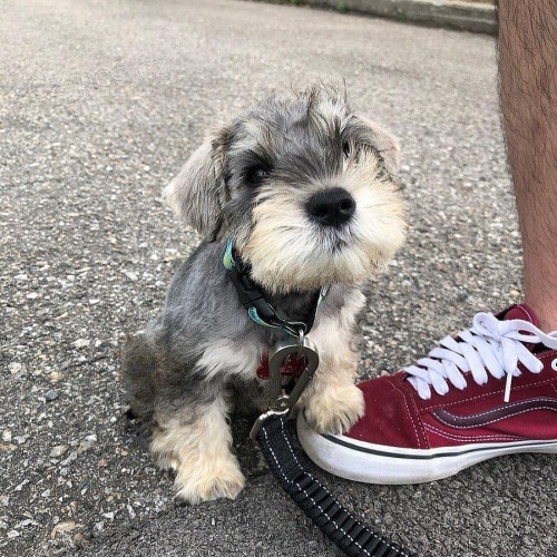 �t��ata mal�ch kn�ra��