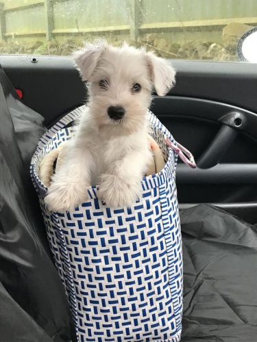 �t��ata mal�ch kn�ra��