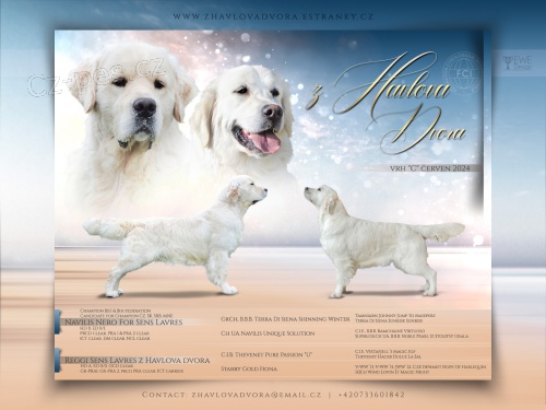 Zlat� retr�vr s PP