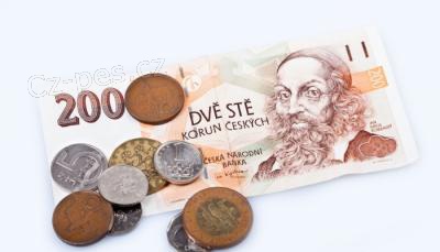 Rychl� a spolehliv� online p�j�ka