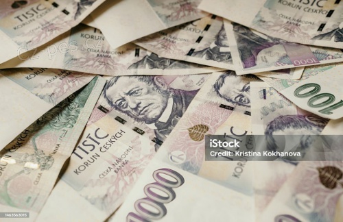 Mikro�verov� instituce(thomasperin@seznam.cz).