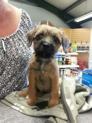 Prod�m �t��ata border teri�ra.