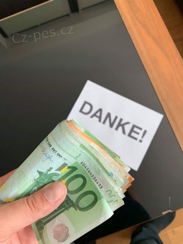 financovat sv� projekty.