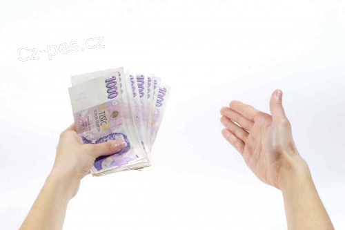 Nov� rychl� p�j�ka pro firmy do 20 000 000 K�.