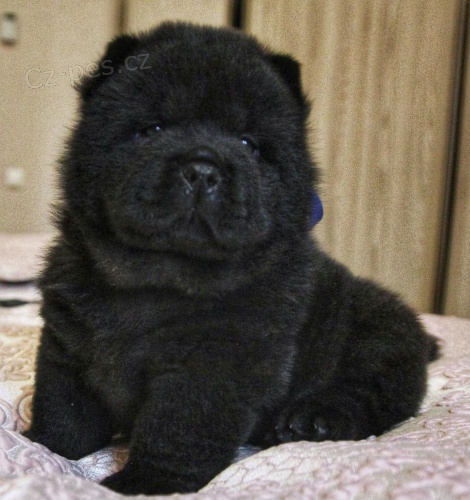 �ern� �au �au �t��ata