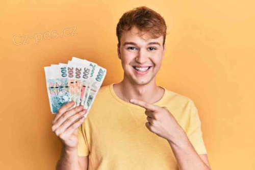 Nab�dka p�j�ky 