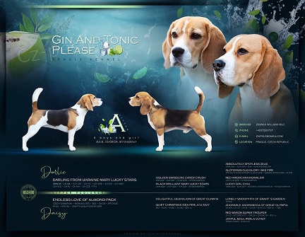 �t���tka - bigl