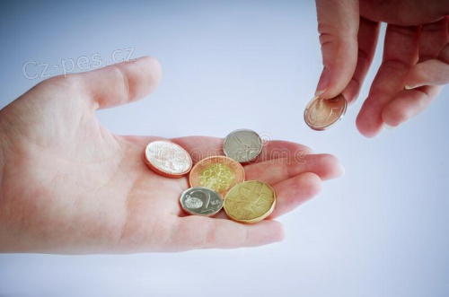 P�j�ky bez podvodu: YVETACAKOVA@GMAIL.COM.