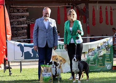 Entlebu�sk� sala�n�cky pes s PP