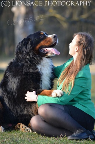 Bernsk� sala�n�cky pes s PP