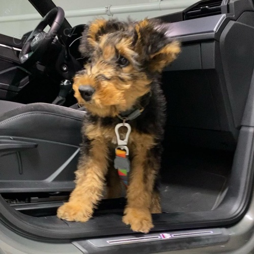 �t���tka erdelteri�r