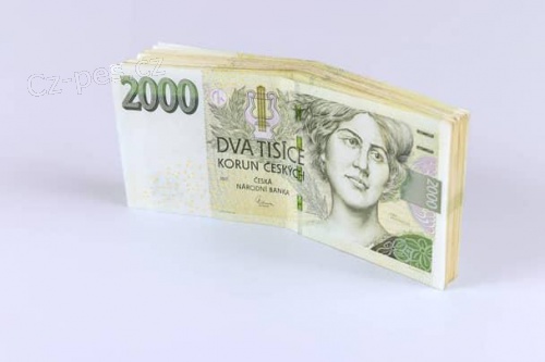   NACH�Z�TE SE VE �PATN� FINAN�N� SITUACI? 