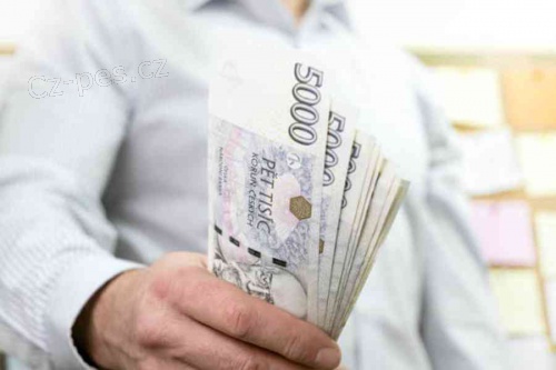 Spolehliv� nab�dka p�j�ky