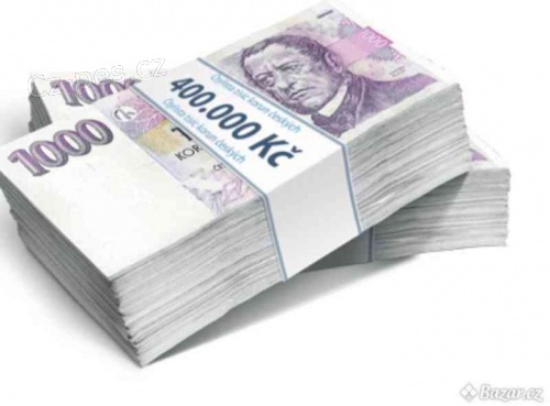 Skute�n� investor v �esk� republice