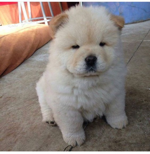 �au-�au �t��ata