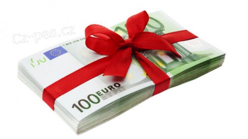 Nab�dka p�j�ky mezi jednotlivci do 24 hodin.