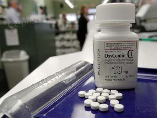 K�pte si lieky proti bolesti, spacie, antidepres�va, potratov� tabletky. Dod�vame kvalitn� buriny, huby r�znych druhov.