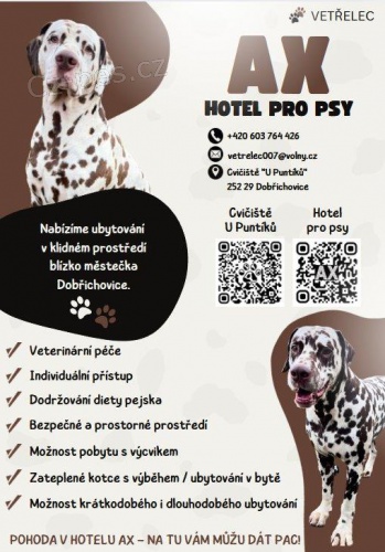 Hl�d�n� ps� - ubytov�n� v ps�m hotelu AX