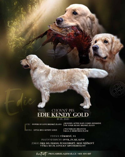 Chovn� pes ke kryt�