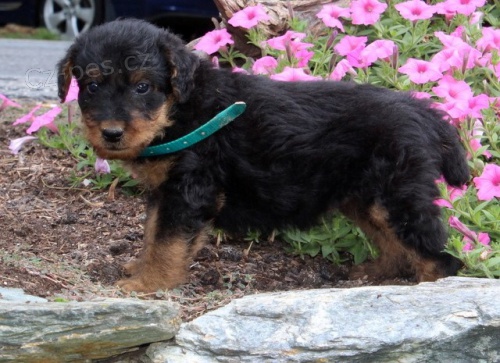 �t���tka erdelteri�r