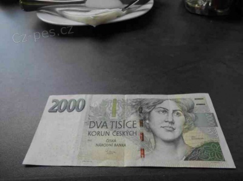 Rychl� a okam�it� p�j�ka