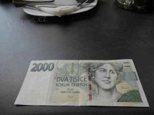 Seri�zn� a spolehliv� nab�dka p�j�ky