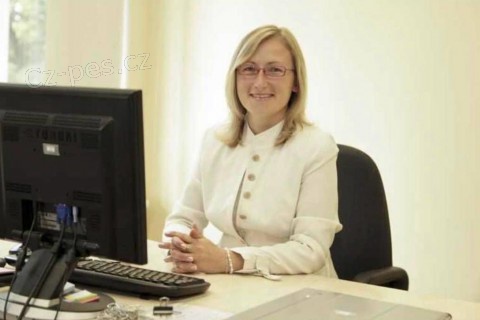 P�j�ka od soukrom� osoby bez podvod