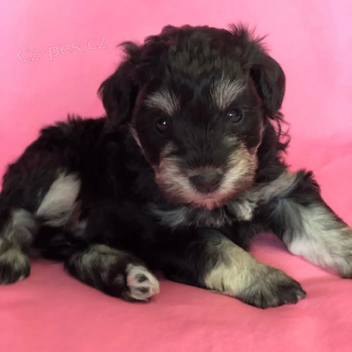 �t��ata mal�ho kn�ra�e