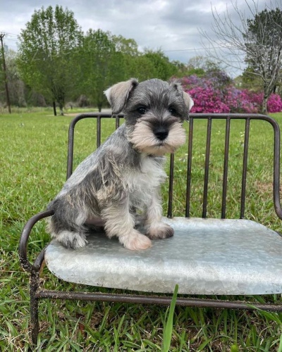 �t��ata mal�ho kn�ra�e