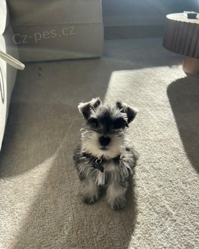 mal�ch kn�ra��/mal�ch kn�ra��