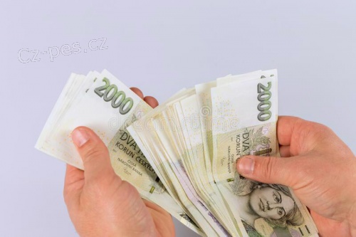 Soukrom� a spolehliv� p�j�ka