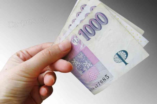 P�j�ka a konsolidace