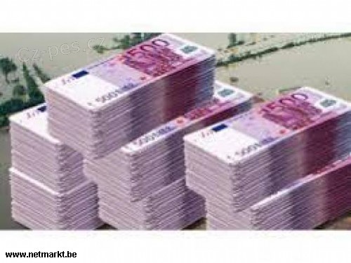 Nab�dka p�j�ky do 24 hodin