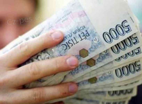 Rychl� a poctiv� p�j�ka