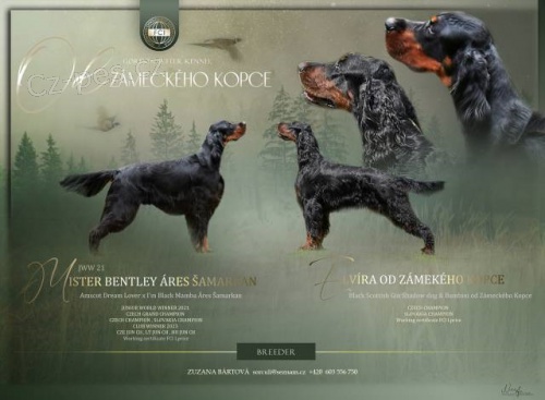 �t���tka gordonsetra