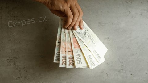 P�j�ky a financov�n�