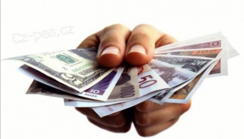 Rychl� a spolehliv� p�j�ka bez poplatku